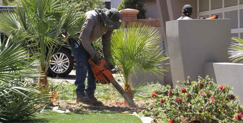 Juan-Perez-Lawn-Service-1