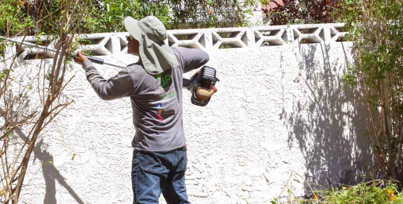 Juan-Perez-Lawn-Service-3