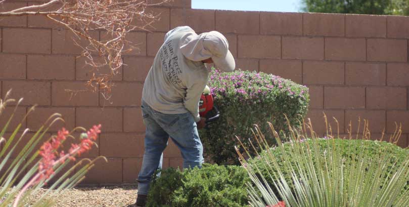 Juan-Perez-Lawn-Service-4