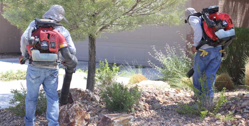 Juan-Perez-Lawn-Service-Yard-Clean-up-2